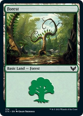 Image for Forest (374) (374) [Strixhaven: School of Mages] - Magic: The Gathering