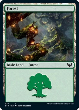 Image for Forest (375) (375) [Strixhaven: School of Mages] - Magic: The Gathering