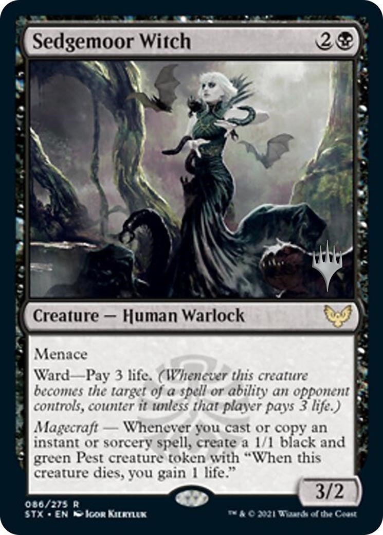 Image for Sedgemoor Witch (86) [Strixhaven] - Magic: The Gathering