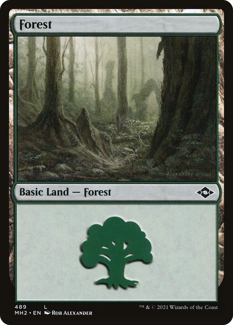 Image for Forest (489) (489) [Modern Horizons 2] - Magic: The Gathering