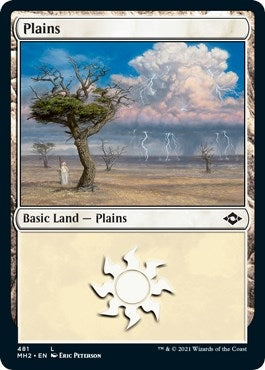 Image for Plains (481) (Foil Etched) (481) [Modern Horizons 2] - Magic: The Gathering