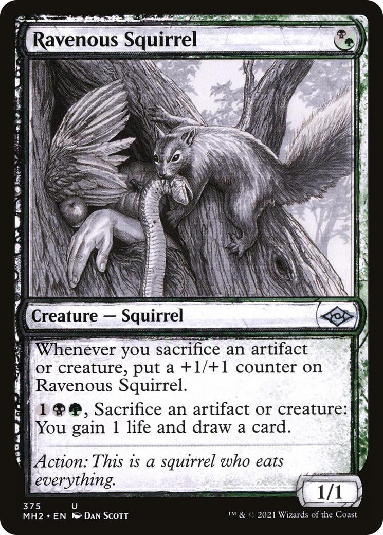 Image for Ravenous Squirrel (Showcase) (375) [Modern Horizons 2] - Magic: The Gathering