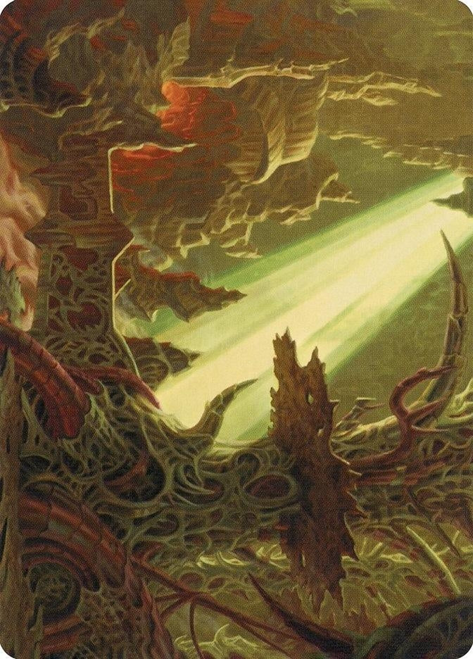 Image for Darkmoss Bridge Art Card (72) [Modern Horizons 2] - Magic: The Gathering