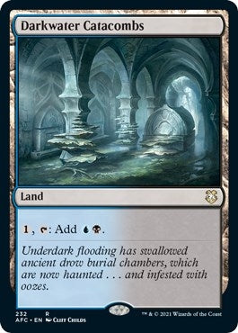 Image for Darkwater Catacombs (232) [Adventures in the Forgotten Realms] - Magic: The Gathering