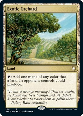 Image for Exotic Orchard (236) [Adventures in the Forgotten Realms] - Magic: The Gathering