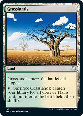 Image for Grasslands (242) [Adventures in the Forgotten Realms] - Magic: The Gathering