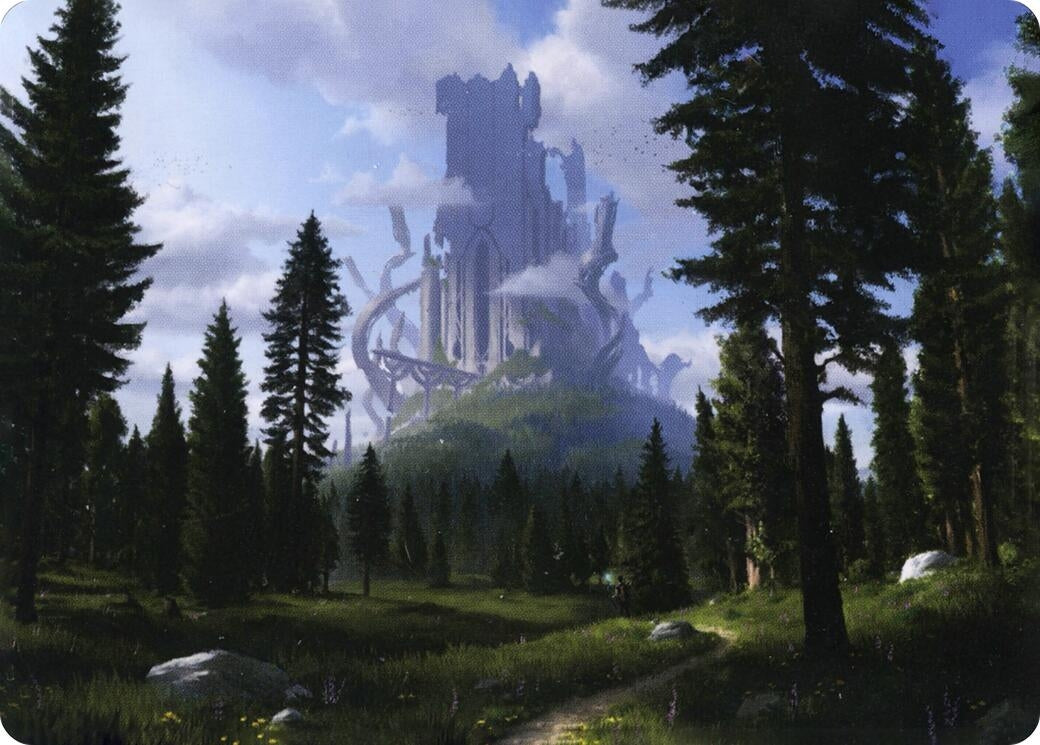 Image for Forest (61/81) Art Card (61) [Adventures in the Forgotten Realms] - Magic: The Gathering
