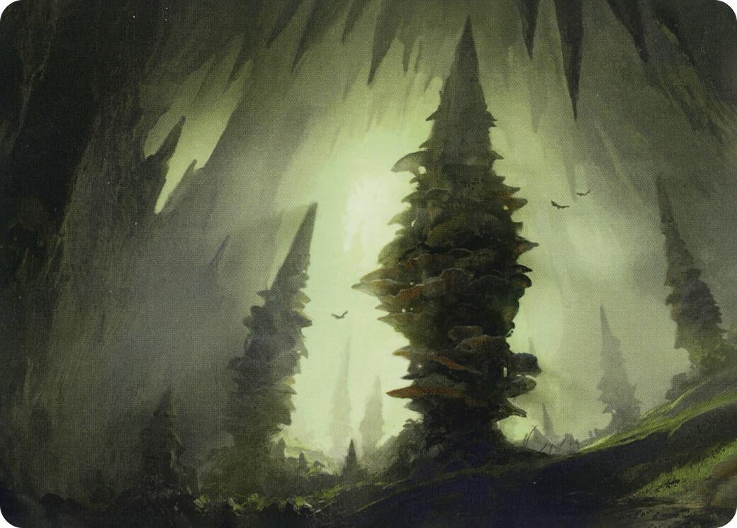 Image for Forest (55/81) Art Card (55) [Adventures in the Forgotten Realms] - Magic: The Gathering