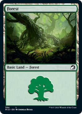 Image for Forest (384) (384) [Innistrad: Midnight Hunt] - Magic: The Gathering