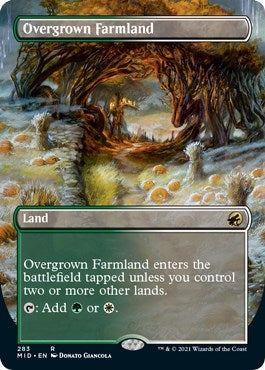Image for Overgrown Farmland (Borderless) (283) [Innistrad: Midnight Hunt] - Magic: The Gathering