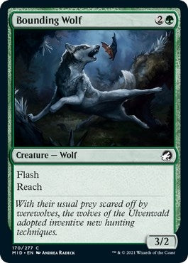 Image for Bounding Wolf (170) [Innistrad: Midnight Hunt] - Magic: The Gathering