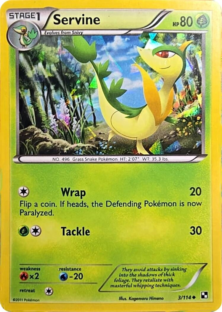 Image for Servine - 3/114 (Cracked Ice Holo) (003/114) [Miscellaneous Cards & Products] - Pokemon