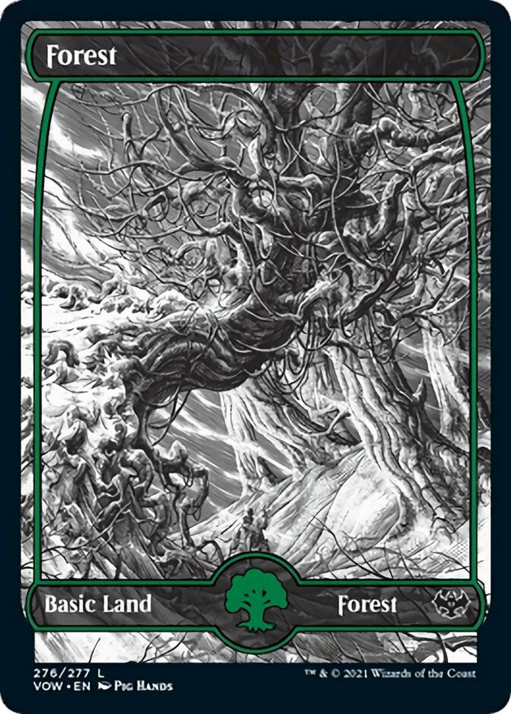 Image for Forest (276) (276) [Innistrad: Crimson Vow] - Magic: The Gathering