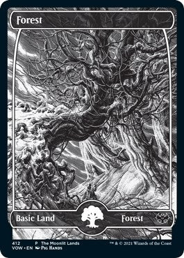 Image for Forest (Moonlit Land) (Foil Etched) (412) [WPN & Gateway Promos] - Magic: The Gathering