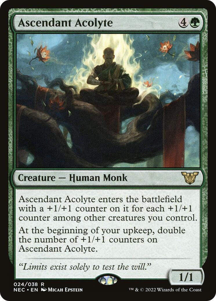 Image for Ascendant Acolyte (24) [Kamigawa: Neon Dynasty] - Magic: The Gathering