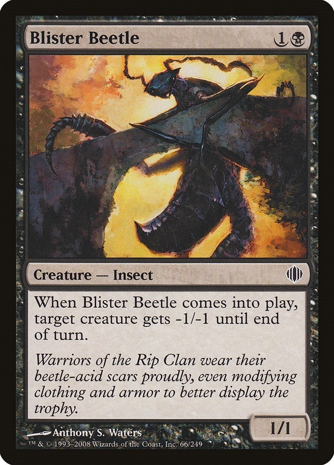 Image for Blister Beetle (66) [Shards of Alara] - Magic: The Gathering