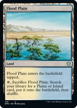 Image for Flood Plain (210) [Dominaria United] - Magic: The Gathering