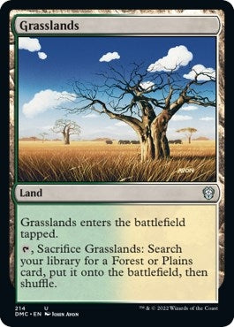 Image for Grasslands (214) [Dominaria United] - Magic: The Gathering