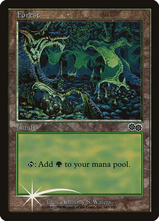 Image for Forest (1999) (347) [Arena Promos] - Magic: The Gathering