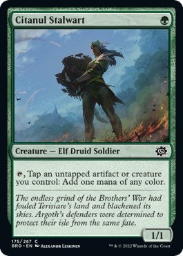 Image for Citanul Stalwart (175) [The Brothers' War] - Magic: The Gathering