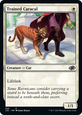 Image for Trained Caracal (256) [Jumpstart 2022] - Magic: The Gathering
