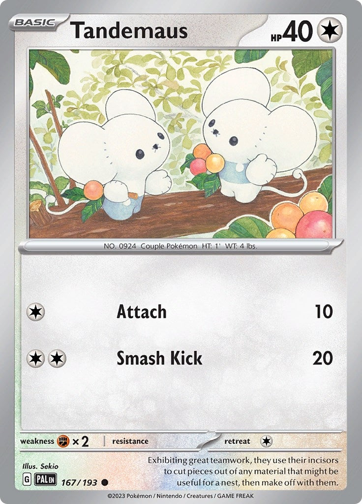 Image for Tandemaus (167/193) [SV02: Paldea Evolved] - Pokemon
