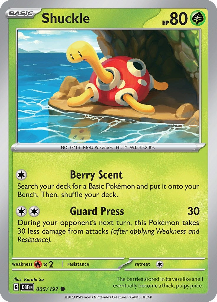 Image for Shuckle (005/197) [SV03: Obsidian Flames] - Pokemon