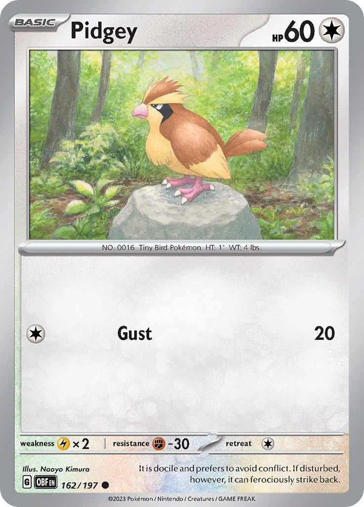 Image for Pidgey (162/197) [SV03: Obsidian Flames] - Pokemon