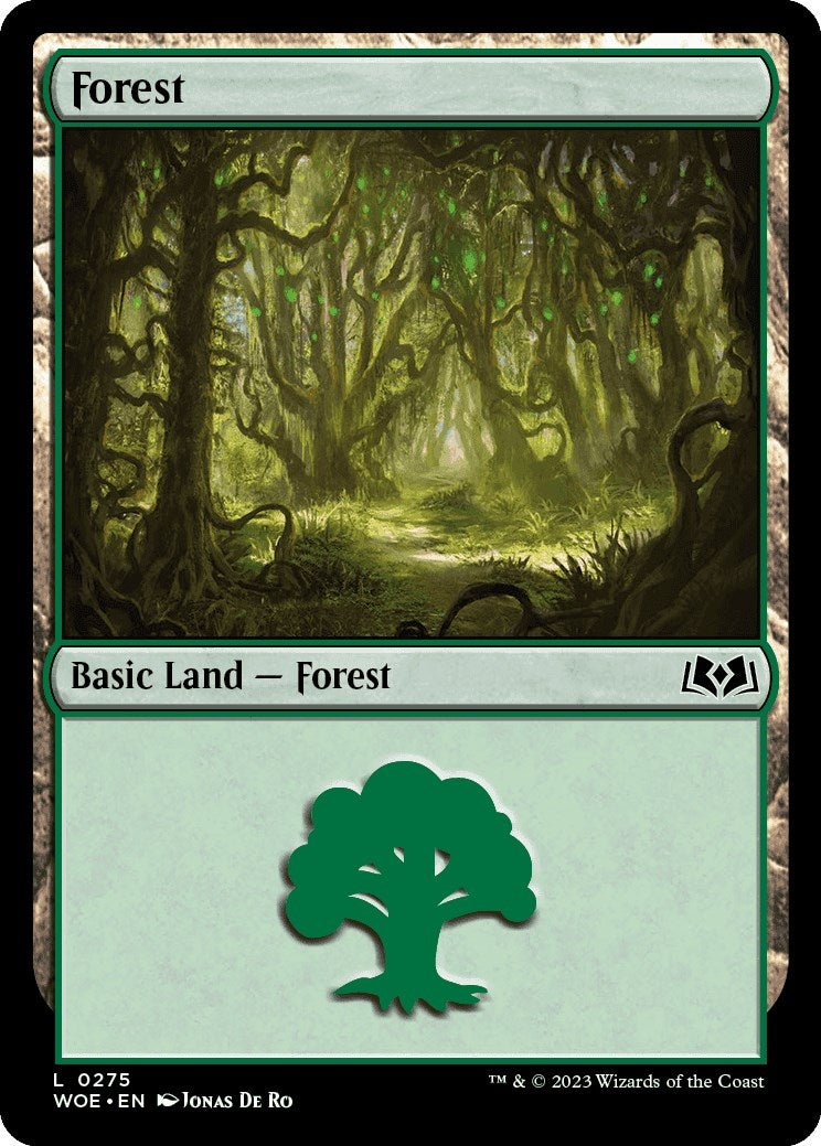 Image for Forest (0275) (275) [Wilds of Eldraine] - Magic: The Gathering