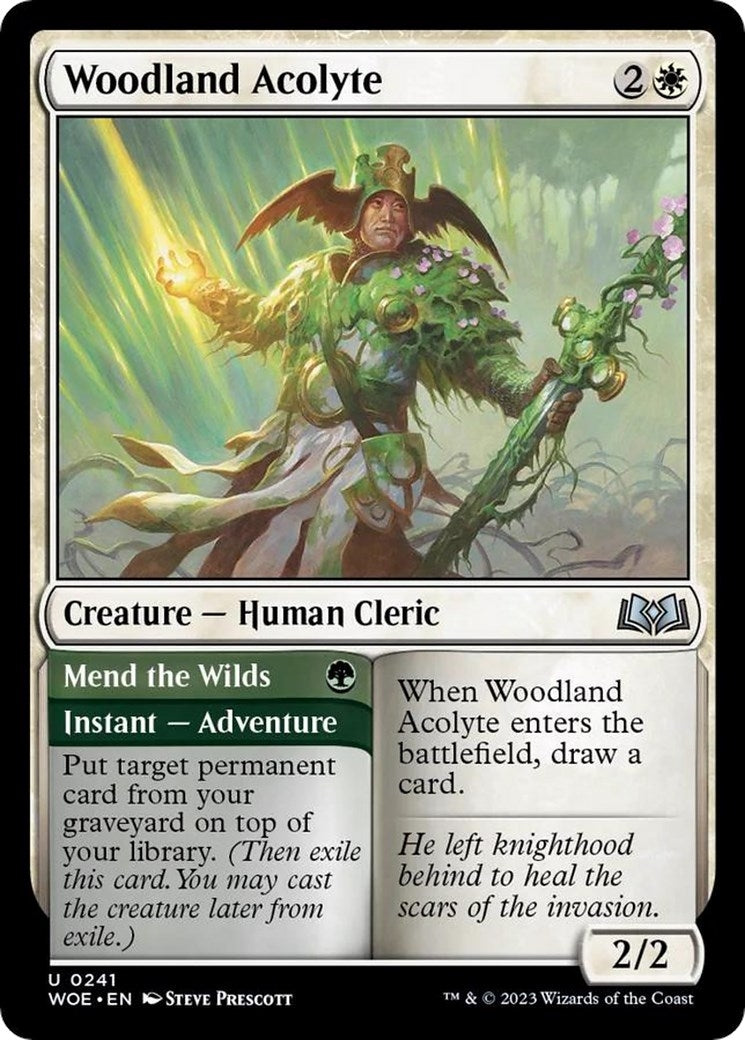 Image for Woodland Acolyte (241) [Wilds of Eldraine] - Magic: The Gathering