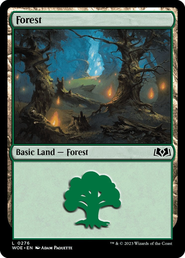 Image for Forest (0276) (276) [Wilds of Eldraine] - Magic: The Gathering