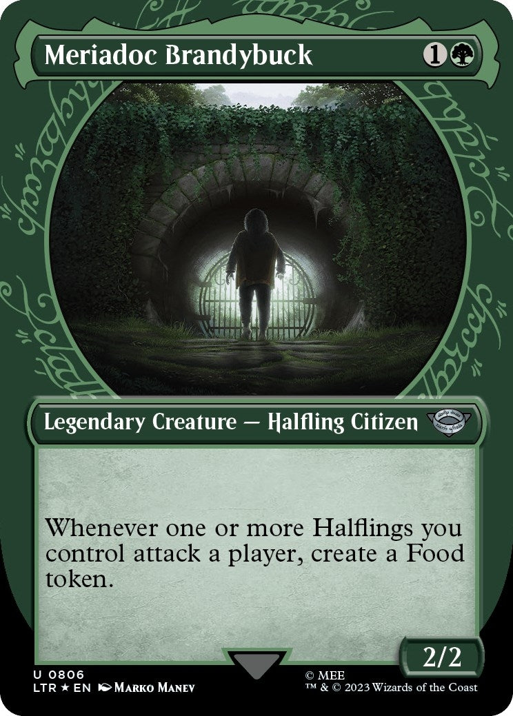 Image for Meriadoc Brandybuck (Showcase) (Surge Foil) (806) [Universes Beyond: The Lord of the Rings: Tales of Middle-earth] - Magic: The Gathering