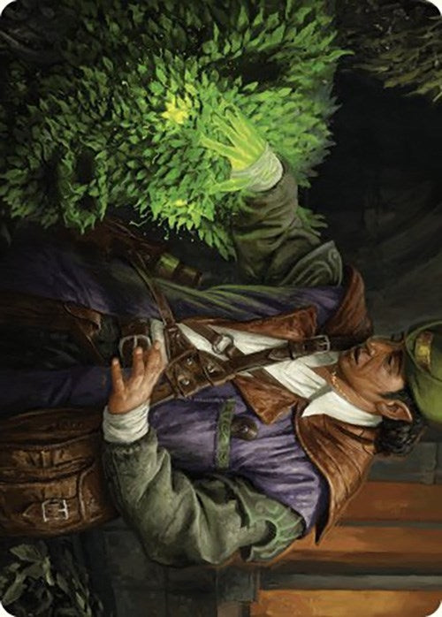 Image for Hedge Whisperer Art Card (14) [Murders at Karlov Manor] - Magic: The Gathering
