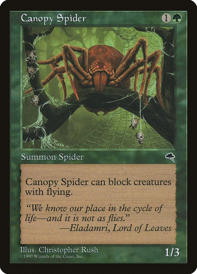 Image for Canopy Spider (217) [Tempest] - Magic: The Gathering