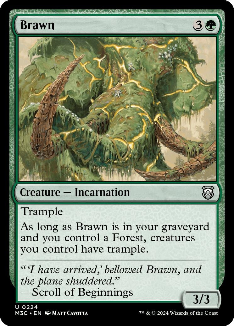 Image for Brawn (224) [Modern Horizons 3] - Magic: The Gathering