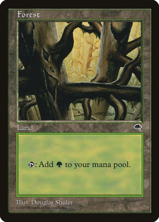 Image for Forest (Ledge) (350) [Tempest] - Magic: The Gathering