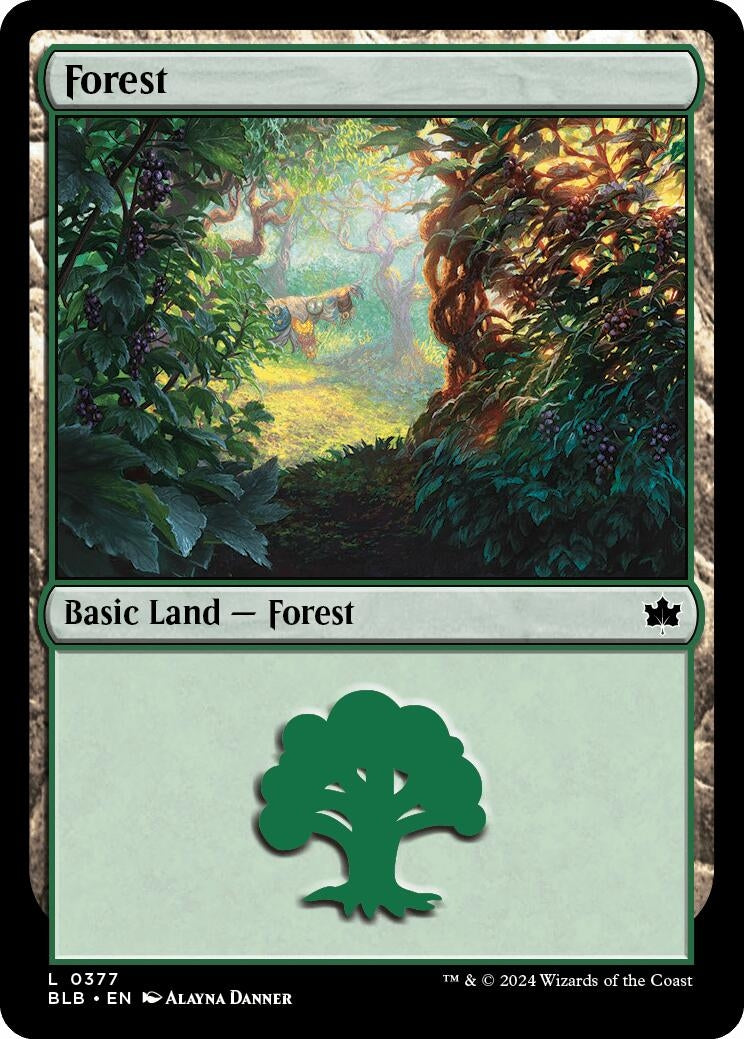 Image for Forest (0377) (377) [Bloomburrow] - Magic: The Gathering