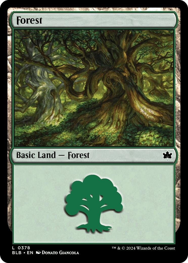 Image for Forest (0378) (378) [Bloomburrow] - Magic: The Gathering