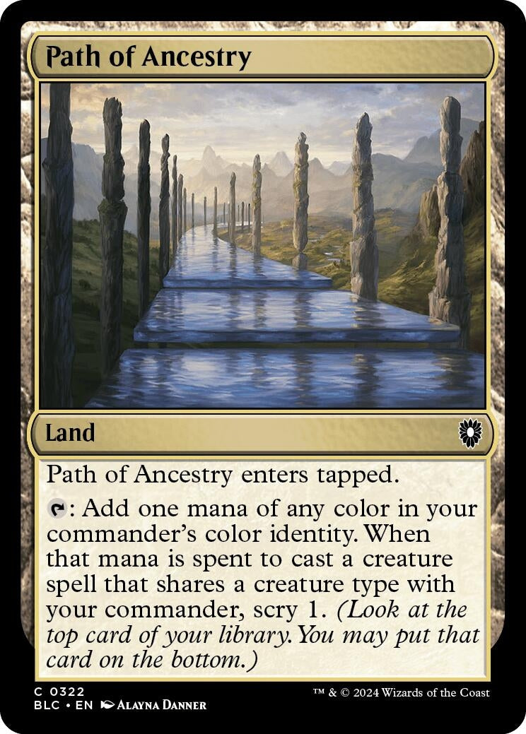 Image for Path of Ancestry (322) [Bloomburrow] - Magic: The Gathering