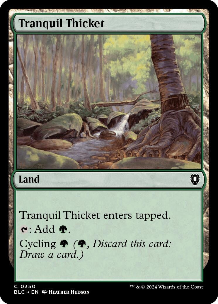 Image for Tranquil Thicket (350) [Bloomburrow] - Magic: The Gathering