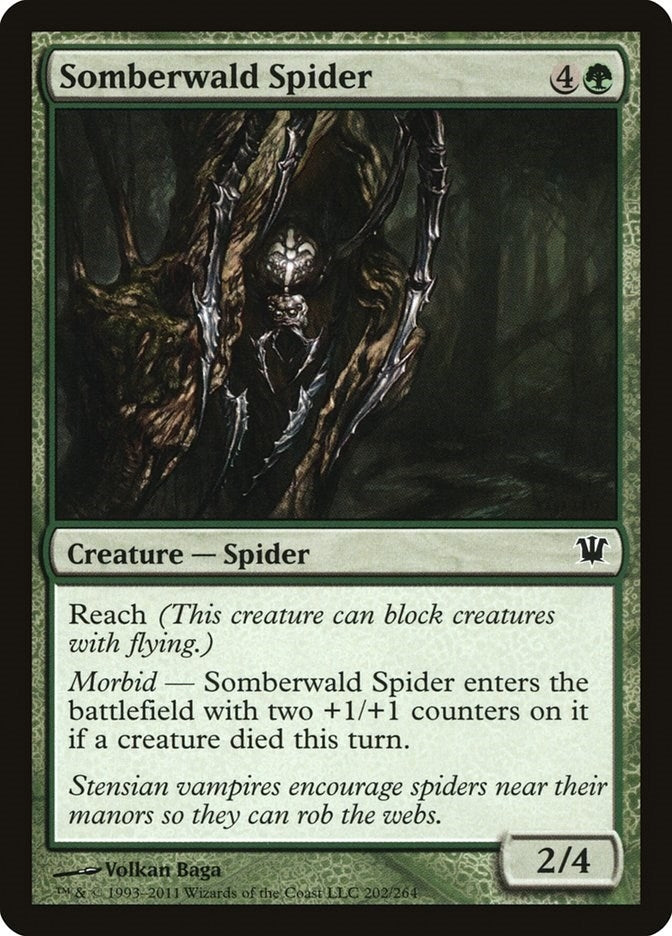 Image for Somberwald Spider (202) [Innistrad] - Magic: The Gathering