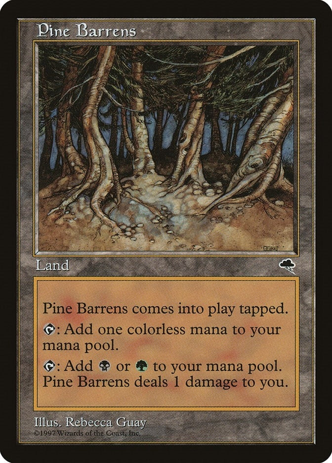 Image for Pine Barrens (321) [Tempest] - Magic: The Gathering