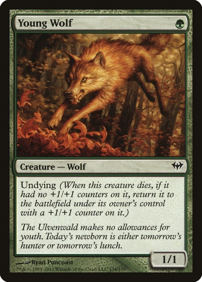 Image for Young Wolf (134) [Dark Ascension] - Magic: The Gathering
