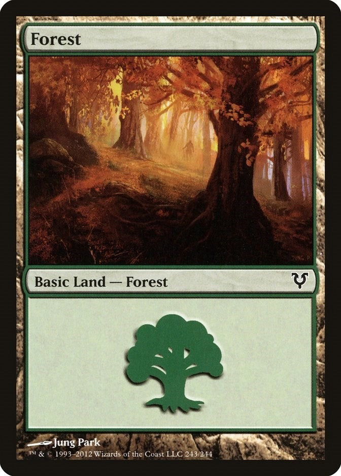 Image for Forest (243) (243) [Avacyn Restored] - Magic: The Gathering