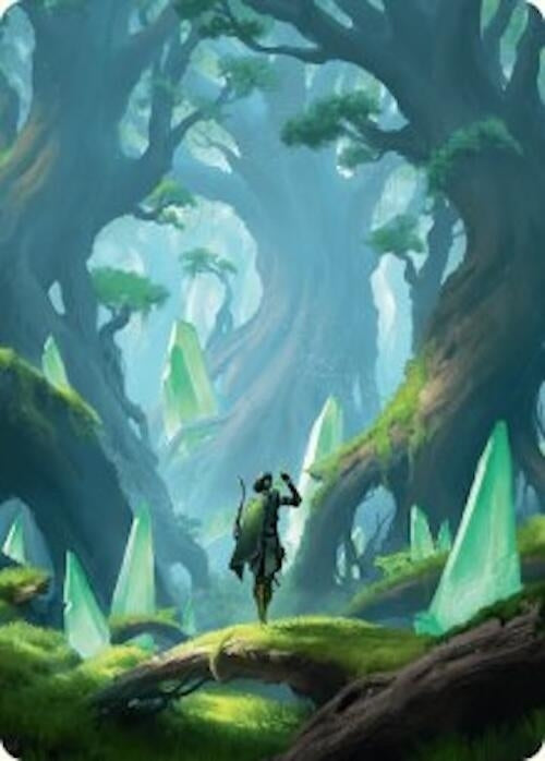 Image for Forest Art Card (25/54) (25) [Foundations] - Magic: The Gathering