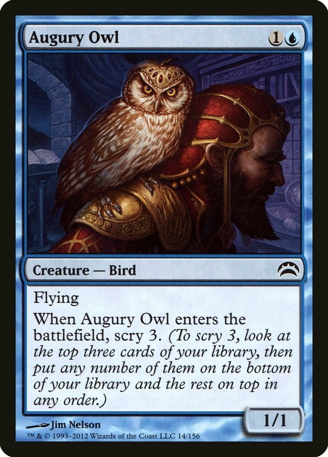 Image for Augury Owl (14) [Planechase 2012] - Magic: The Gathering