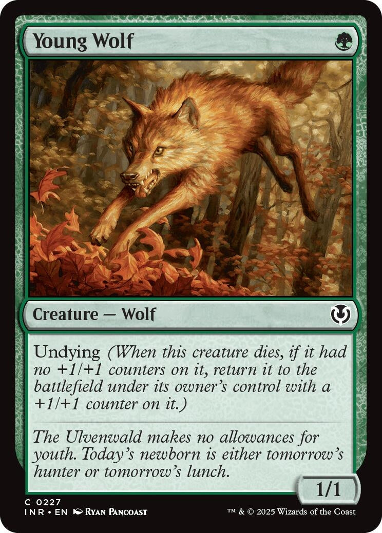Image for Young Wolf (227) [Innistrad Remastered] - Magic: The Gathering
