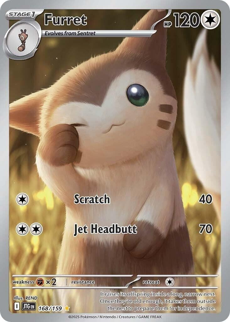Image for Furret (168/159) [SV09: Journey Together] - Pokemon