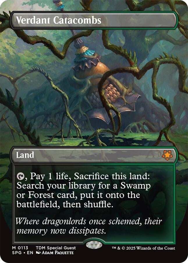 Image for Verdant Catacombs (Borderless) (113) [Special Guests] - Magic: The Gathering
