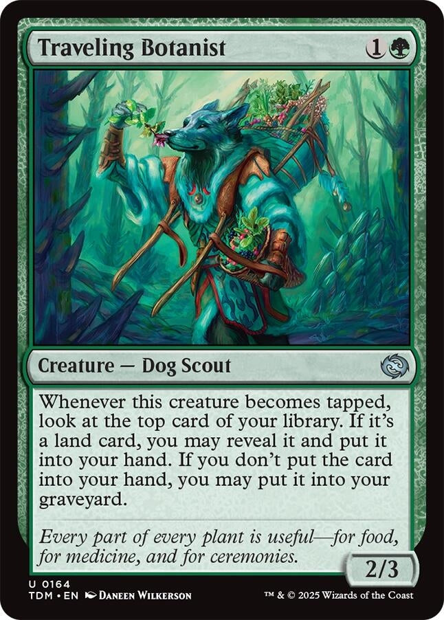 Image for Traveling Botanist (164) [Tarkir: Dragonstorm] - Magic: The Gathering